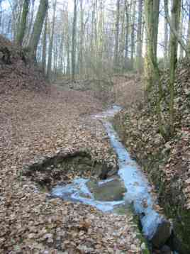 Die Binner Schlucht – ein bewaldetes Tal mit kleinem Bachlauf